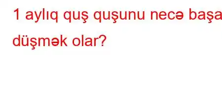 1 aylıq quş quşunu necə başa düşmək olar?