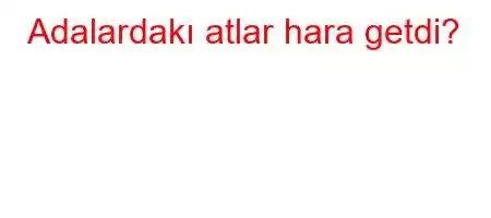 Adalardakı atlar hara getdi?