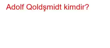 Adolf Qoldşmidt kimdir