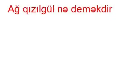 Ağ qızılgül nə deməkdir