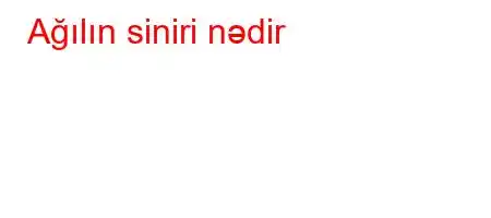 Ağılın siniri nədir