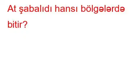 At şabalıdı hansı bölgələrdə bitir?