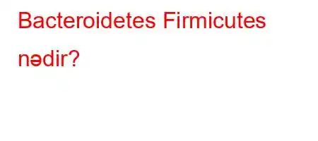 Bacteroidetes Firmicutes nədir?