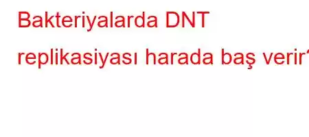 Bakteriyalarda DNT replikasiyası harada baş verir?