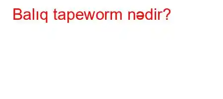 Balıq tapeworm nədir?