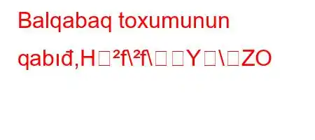 Balqabaq toxumunun qabıđ,Hf\f\Y\ZO