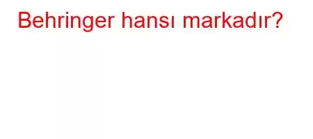 Behringer hansı markadır