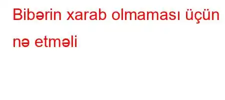 Bibərin xarab olmaması üçün nə etməli