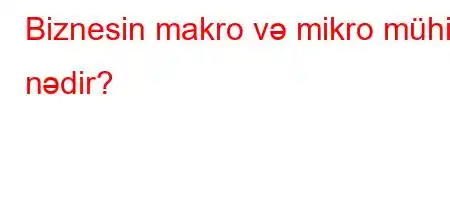 Biznesin makro və mikro mühiti nədir?