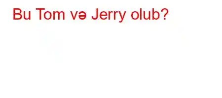 Bu Tom və Jerry olub?