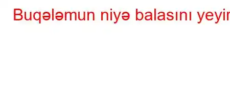 Buqələmun niyə balasını yeyir?