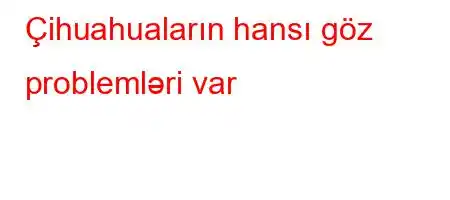 Çihuahuaların hansı göz problemləri var