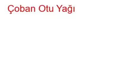 Çoban Otu Yağı