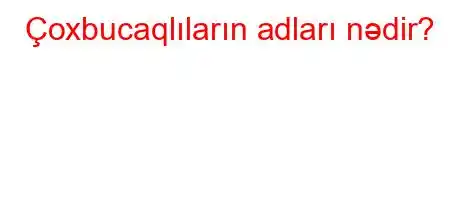 Çoxbucaqlıların adları nədir?