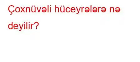 Çoxnüvəli hüceyrələrə nə deyilir?