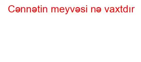 Cənnətin meyvəsi nə vaxtdır