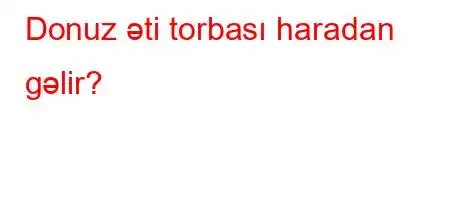 Donuz əti torbası haradan gəlir?