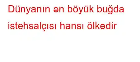 Dünyanın ən böyük buğda istehsalçısı hansı ölkədir