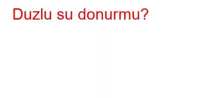 Duzlu su donurmu?