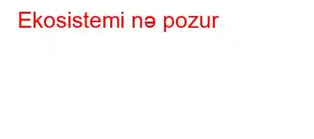 Ekosistemi nə pozur