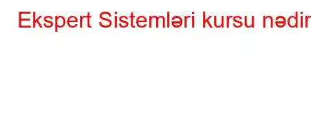 Ekspert Sistemləri kursu nədir