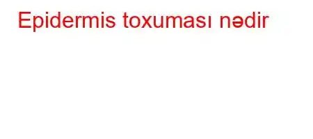 Epidermis toxuması nədir