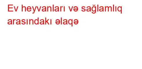 Ev heyvanları və sağlamlıq arasındakı əlaqə