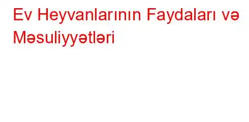 Ev Heyvanlarının Faydaları və Məsuliyyətləri