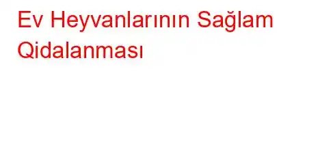 Ev Heyvanlarının Sağlam Qidalanması