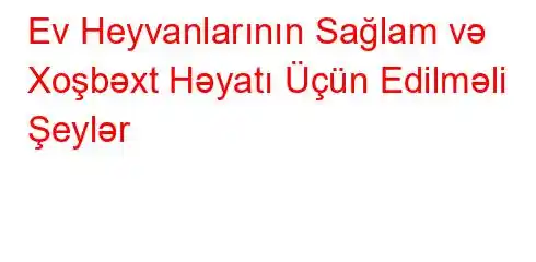 Ev Heyvanlarının Sağlam və Xoşbəxt Həyatı Üçün Edilməli Şeylər