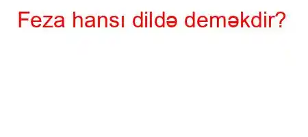 Feza hansı dildə deməkdir?