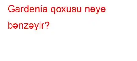 Gardenia qoxusu nəyə bənzəyir?