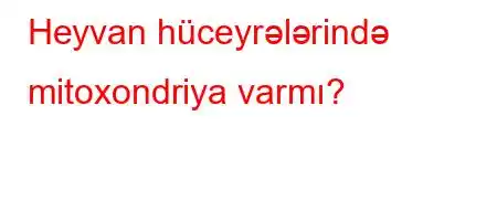 Heyvan hüceyrələrində mitoxondriya varmı?