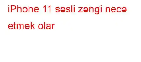 iPhone 11 səsli zəngi necə etmək olar