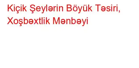 Kiçik Şeylərin Böyük Təsiri, Xoşbəxtlik Mənbəyi