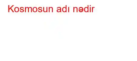 Kosmosun adı nədir