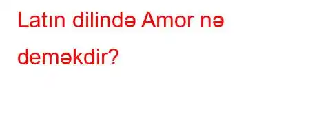 Latın dilində Amor nə deməkdir?