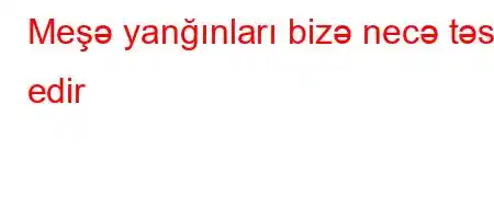 Meşə yanğınları bizə necə təsir edir