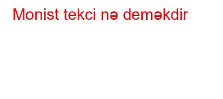 Monist tekci nə deməkdir