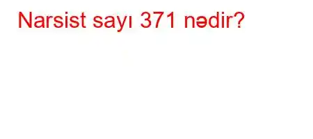 Narsist sayı 371 nədir?