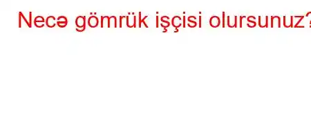 Necə gömrük işçisi olursunuz?