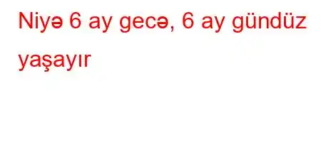 Niyə 6 ay gecə, 6 ay gündüz yaşayır