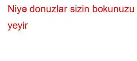 Niyə donuzlar sizin bokunuzu yeyir