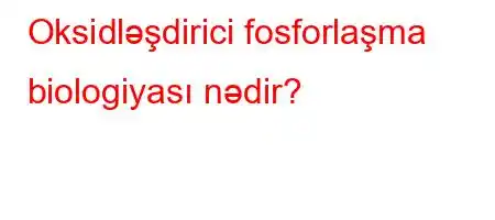 Oksidləşdirici fosforlaşma biologiyası nədir?