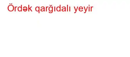 Ördək qarğıdalı yeyir