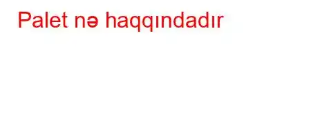 Palet nə haqqındadır