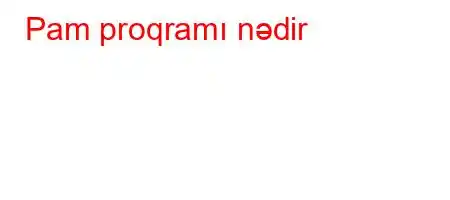 Pam proqramı nədir