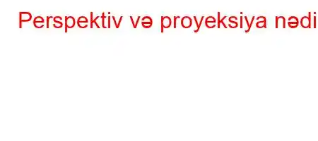 Perspektiv və proyeksiya nədir