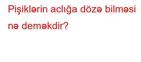 Pişiklərin aclığa dözə bilməsi nə deməkdir?