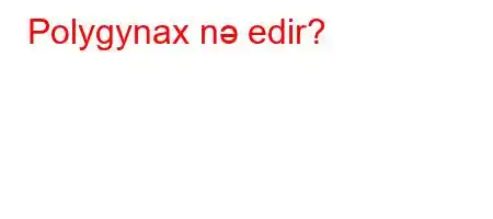 Polygynax nə edir?